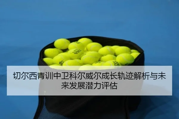 qie-er-xi-qing-xun-zhong-wei-ke-er-wei-er-cheng-zhang-gui-ji-jie-xi-yu-wei-lai-fa-zhan-qian-li-ping-gu-2-131.jpg