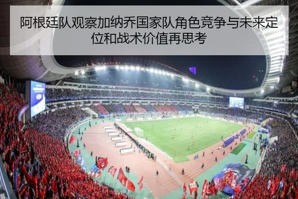 阿根廷队观察加纳乔国家队角色竞争与未来定位和战术价值再思考